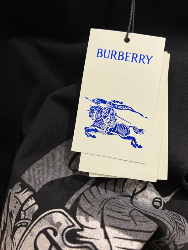 2024SS Burberry T Shirt - Replica shirt