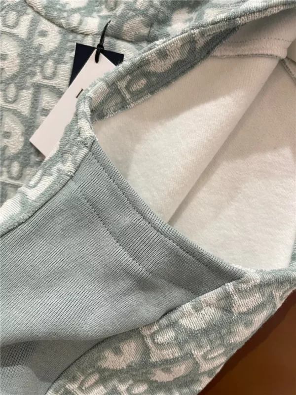 2024SS Dior Hoodie - Replica Dior