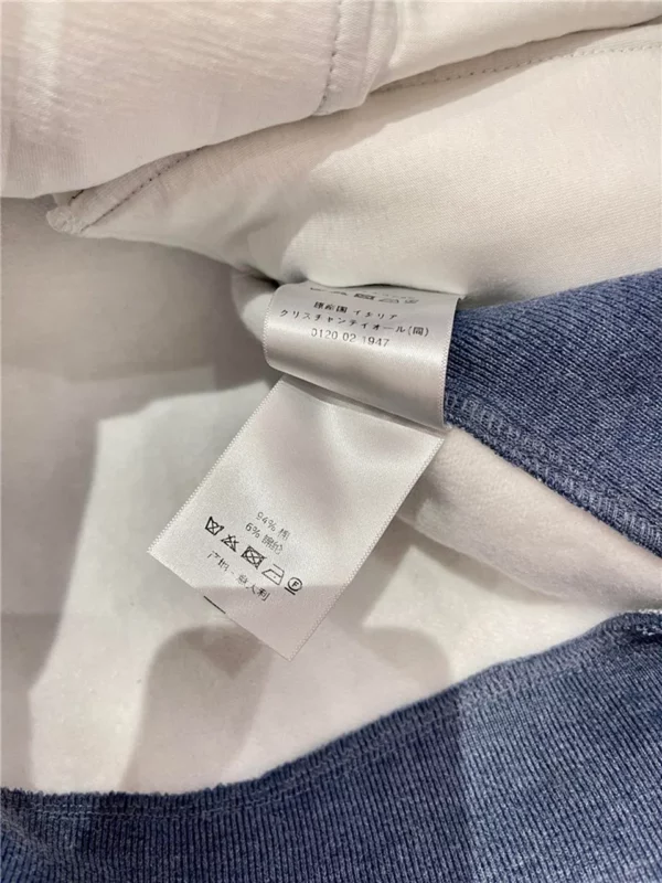 2024SS Dior Hoodie - Replica Dior