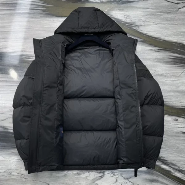 2024fw Louis Vuitton Down Jacket