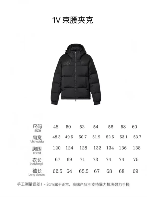 2024fw Louis Vuitton Down Jacket