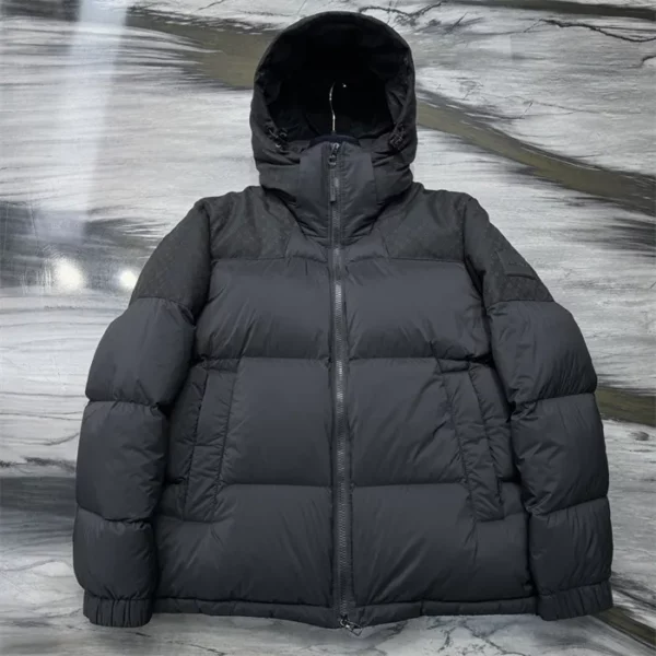 2024fw Louis Vuitton Down Jacket