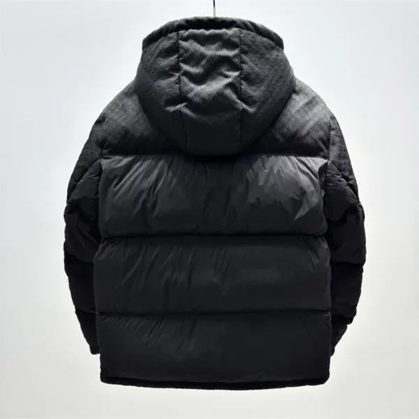 2024fw Louis Vuitton Down Jacket