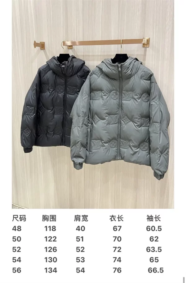 2024fw Louis Vuitton Down Jacket